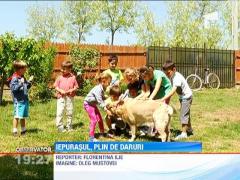 Iepurasul, plin de daruri pentru cei mici