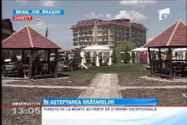 Observator 13 Weekend