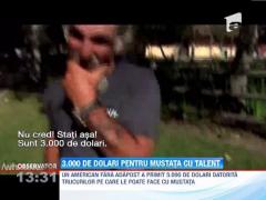 3.000 de dolari pentru o mustata cu talent