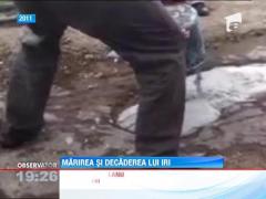 Marirea si decaderea lui Irinel Columbeanu