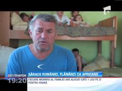 Saracii Romaniei, flamanzi ca africanii