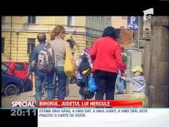 OBSERVATOR SPECIAL: Text penibil pe stema Bihorului