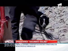 SPECIAL!!! Bulina rosie de pe cladiri, "ascunsa" de proprietari