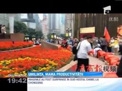 Productivitatea chinezilor, secrete umilitoare