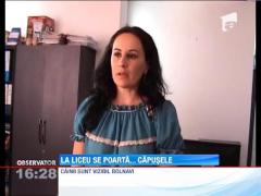 Liceu invadat de capuse