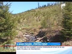 Defrisarile in Harghita, un obicei