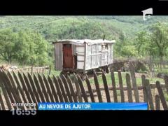 DIN SUFLET: Au nevoie de ajutor