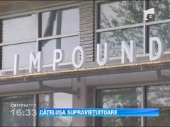 A supravietuit o luna intreaga fara apa si mancare!