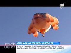 O balena a aparut in zbor deasupra capitalei australiene, Canberra