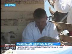 Transhumanta, obicei inca pastrat