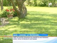 Cristian Tantareanu, gradina de 300.000 de euro