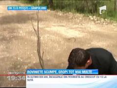 Platim rovinieta degeaba! Incasarile Companiei Nationale de Drumuri cresc odata cu numarul gropilor din asfalt