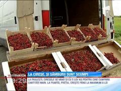 Ciresele romanesti se vand de trei ori mai scump pe marginea drumului