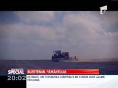 SPECIAL!!! Din 2014, strainii vor cumpara terenuri in Romania fara restrictii