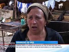 Oamenii dintr-o comuna din Vrancea, terorizati de ursi