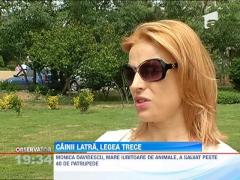 5.000 de lei amenda pentru cei care hranesc cainii fara stapan