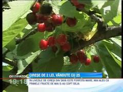 Ciresele de doi lei/kg se vand in piete cu 20-25 de lei/kg