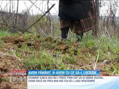 Romania pierde anual milioane de euro din pamantul nelucrat