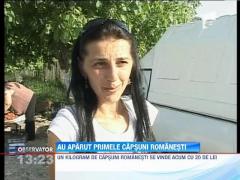 Au aparut primele capsune romanesti. Vezi AICI cat costa un kilogram!