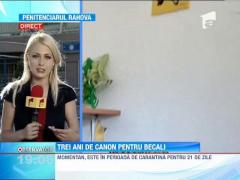 Gratierea dorita de Gigi Becali, aproape imposibila