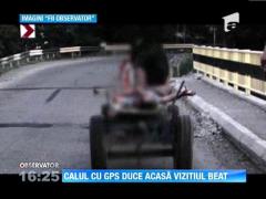 Un barbat baut, filmat in timp ce era dus de calul sau spre casa