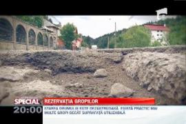 SPECIAL! Un drum national din Maramures n-a mai fost reabilitat din anii '70