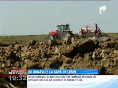 Tinerii intreprinzatori au renuntat la marile orase pentru agricultura
