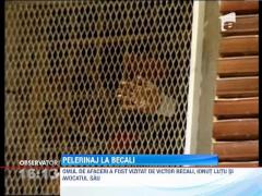 Penitenciarul Rahova, loc de pelerinaj pentru apropiatii lui Becali