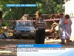 Dambovita: Cadavrul carbonizat al unui copil, gasit in anexa unei gospodarii