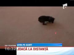 Camera de luat vederi cu laser pentru joaca de la distanta cu animalul de companie