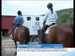 Au inceput pregatirile pentru Transilvania Horse Show
