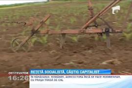 Observator 16 Weekend