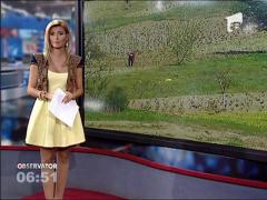 Ziua lui Ioan Fierbe-Piatra