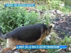 A fugit de acasa pentru a da o lectie parintilor!