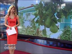 Semnele vremii cu ajutorul plantelor sau animalelor