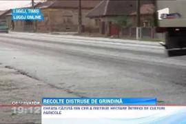 Observator de weekend