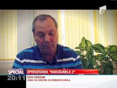 OBSERVATOR SPECIAL: Bondarul asiatic, spaima romanilor