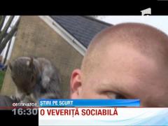 O veverita a sarit pe umarul unui student si aproape ca a adormit acolo