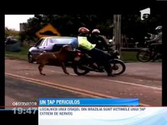 Tapul care se crede taur