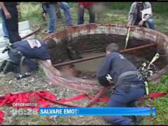 California: Localnicii au salvat un cal cazut intr-un put de sase metri