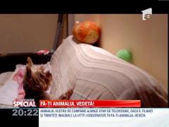 OBSERVATOR SPECIAL: Biju si mingea