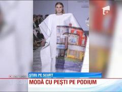 Haine din animale vii!