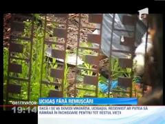 Cautarile pentru gasirea partilor din trupul macelarit al femeii din Arges se intensifica