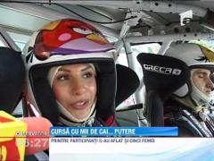 Spectacol la raliul Deltei