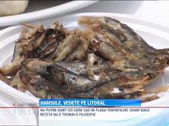 Pranzul turistilor pe litoral: bere si hamsii