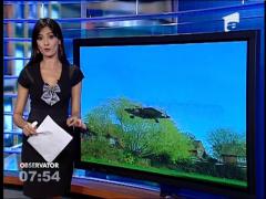 Solarcopterul, vehiculul viitorului