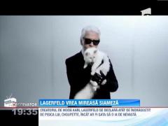 Karl Lagerfeld, directorul Chanel, vrea sa se insoare cu pisica lui