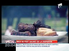 SPECIAL: Micii au fost salvati de la disparitie