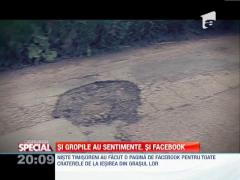 SPECIAL! Timisoara: Pagina de Facebook pentru toate craterele de la iesirea din orasul lor