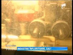 Specialistii in prelucrarea lemnului, greu de gasit